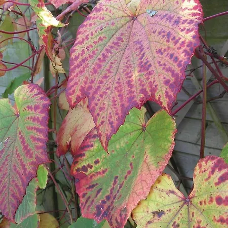 2 Bedroom Lovely In Casa vacanze Dimont