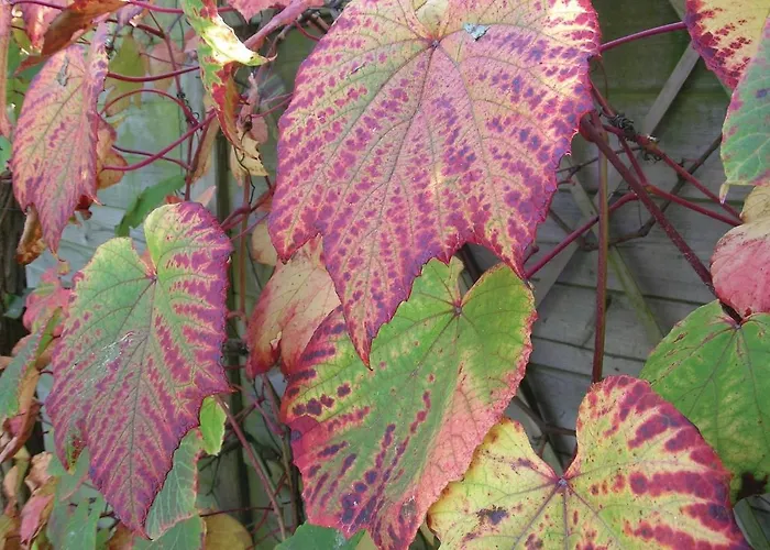 2 Bedroom Lovely In Feriehus Dimont